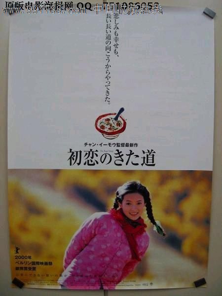 萨塞克斯大学学士毕业证